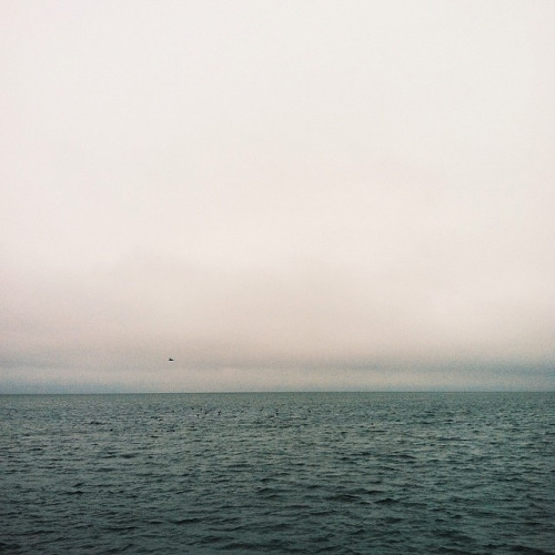 tumblr_n3t61166vc1qea6ato1_500